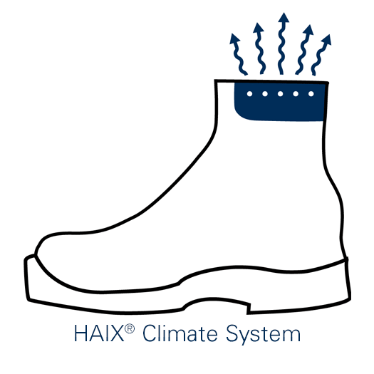 Haix Climate System