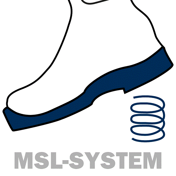 MSL-System