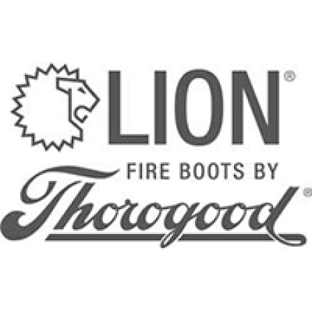 Lion Fire Boots