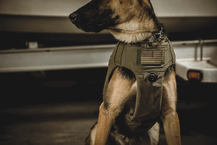 Armor Express ACV BOA Agile Canine Vest